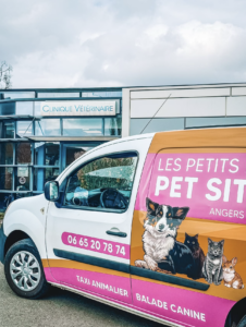 Promenades canines en forêt Capture d’écran . 2026-03-22 à 21.11.11