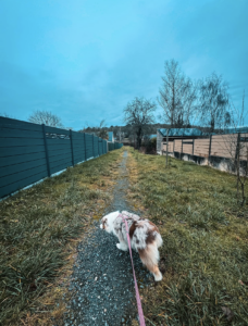 Capture d’écran . 2026-03-22 à 21.17.08