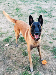 Capture d’écran . 2026-03-22 à 21.27.05