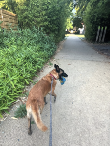 Capture d’écran . 2026-03-22 à 21.27.46