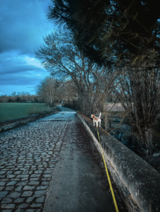 Capture d’écran . 2026-03-22 à 21.31.08