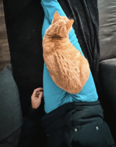 Capture d’écran . 2026-03-22 à 21.33.25