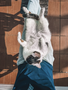 Qui sommes-nous Capture d’écran . 2026-03-22 à 21.44.39