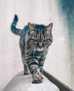 Capture d’écran . 2026-03-22 à 21.45.21