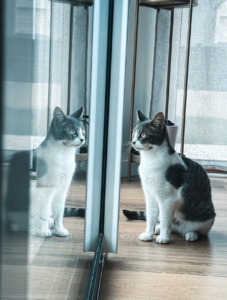 Qui sommes-nous Capture d’écran . 2026-03-22 à 21.45.49