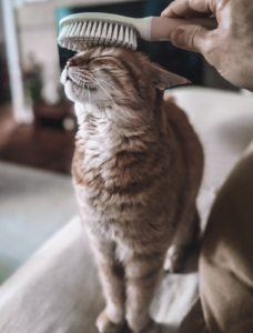 Capture d’écran . 2026-03-22 à 21.46.12