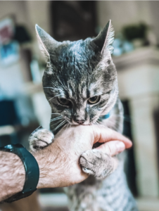 Qui sommes-nous Capture d’écran . 2026-03-22 à 21.46.35