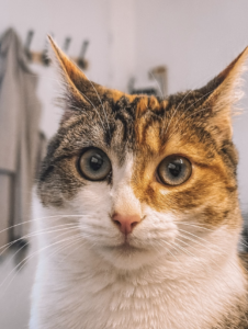 Capture d’écran . 2026-03-22 à 21.47.11