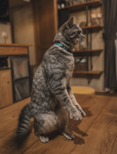 Capture d’écran . 2026-03-22 à 21.48.58