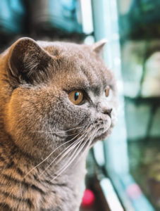 Capture d’écran . 2026-03-22 à 21.49.31