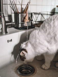 Capture d’écran . 2026-03-22 à 21.50.07