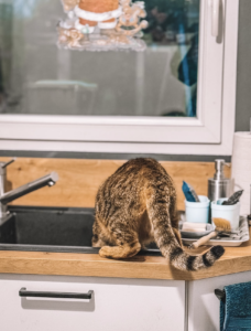 Capture d’écran . 2026-03-22 à 21.50.58