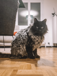 Capture d’écran . 2026-03-22 à 21.51.37