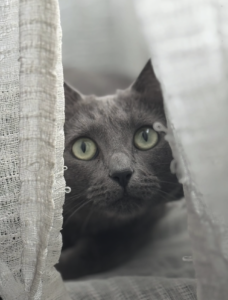 Capture d’écran . 2026-03-22 à 21.53.07