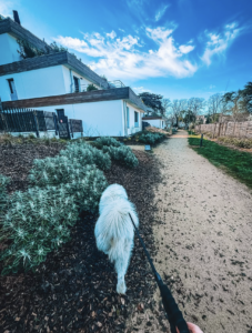 Capture d’écran . 2026-03-22 à 21.54.55