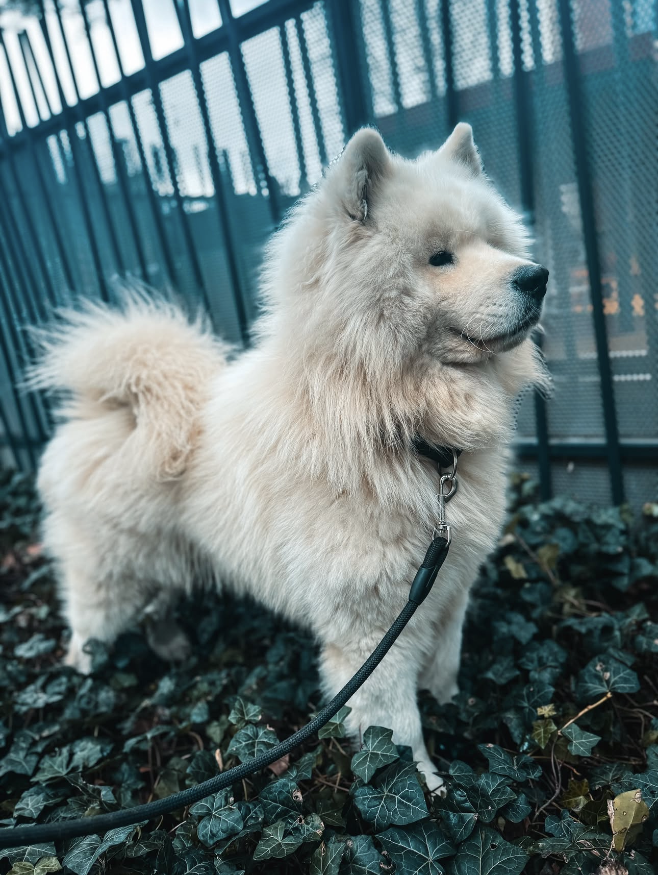 Capture Decran . 2026 03 22 A 21.55.37