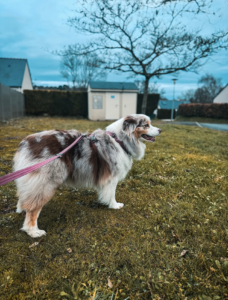 Qui sommes-nous Capture d’écran . 2026-03-22 à 21.56.17