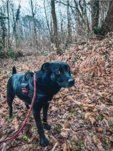 Capture d’écran . 2026-03-22 à 21.57.04