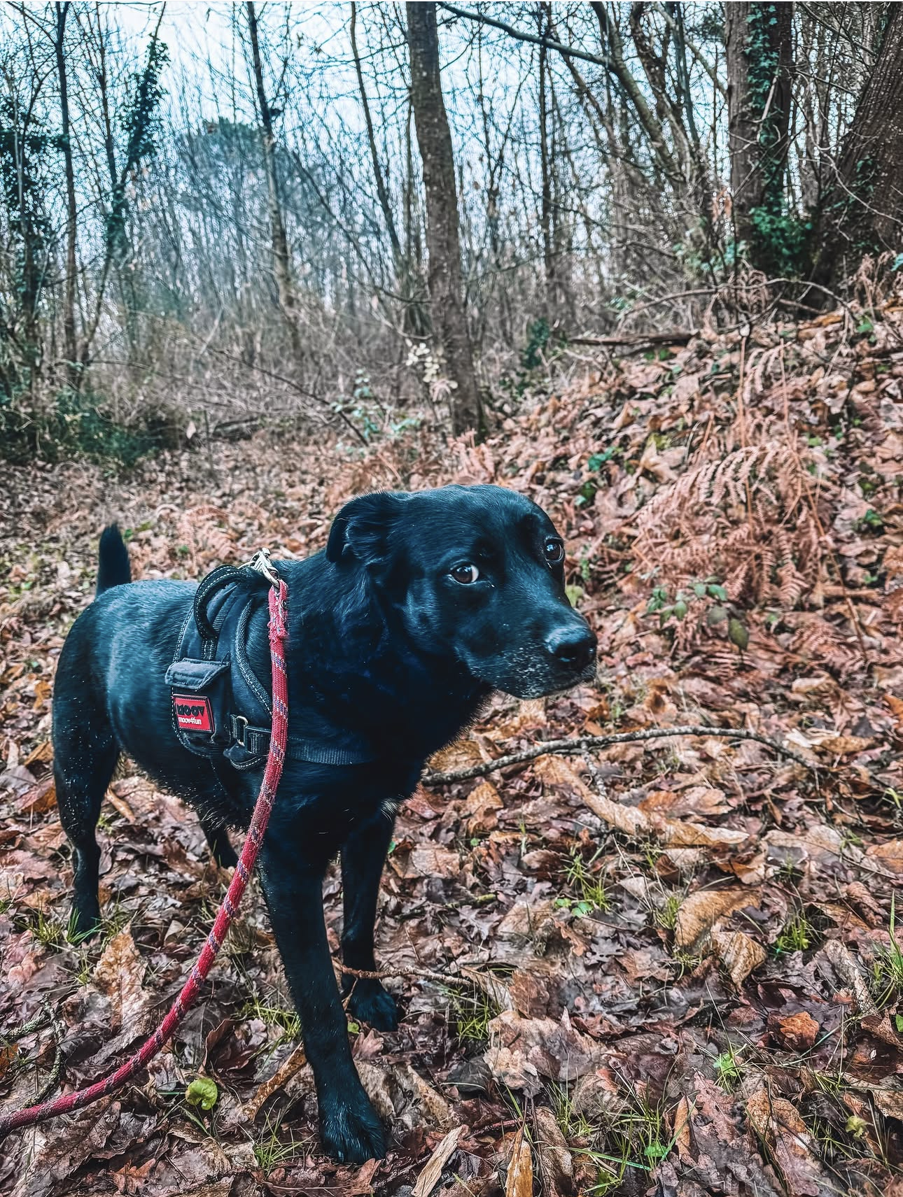 Capture Decran . 2026 03 22 A 21.57.04