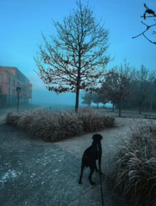 Capture d’écran . 2026-03-22 à 21.58.29