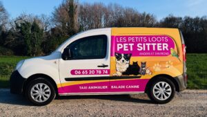 Promenades canines en forêt IMG_1023