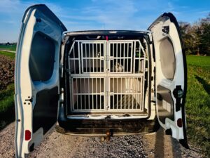 Promenades canines en forêt IMG_1034