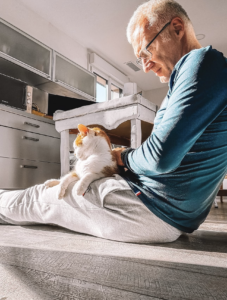 Qui sommes-nous nicolas-chat