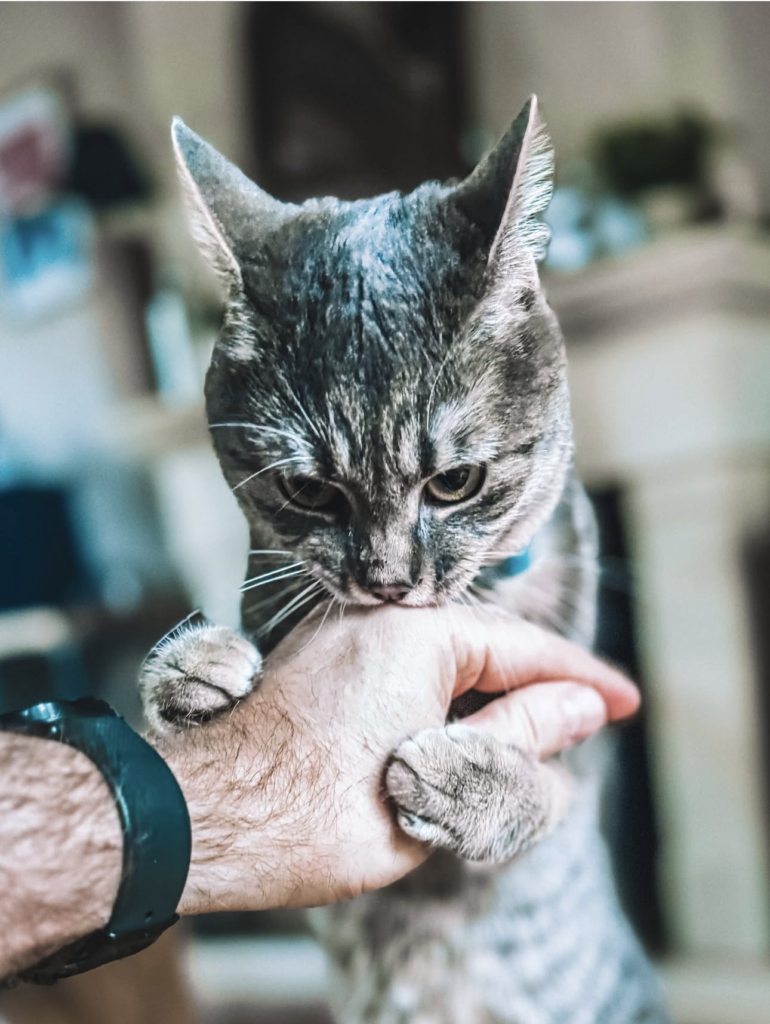 capture decran . 2026 03 22 a 21.46.35.png