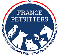 telechargement 1.png